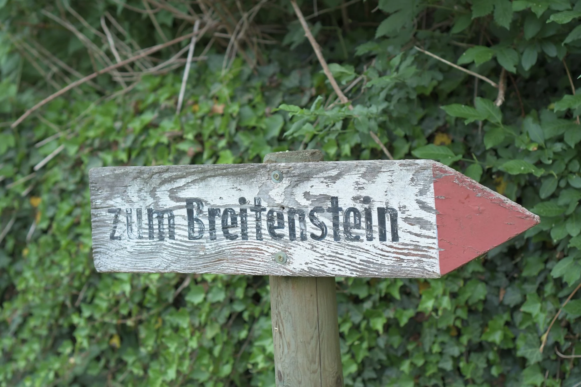 Hochgericht und Wolfsdenkmal in Breitenstein